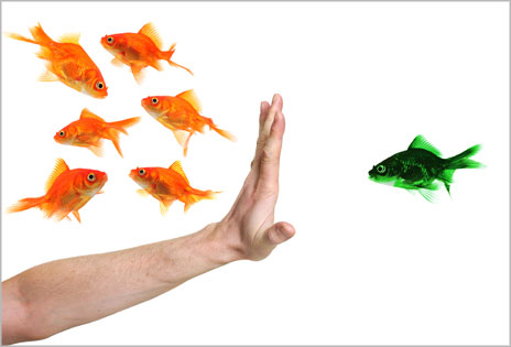 Montagem fotográfica mostra antebraço e mão de pessoa esticado em típico gesto para mandar alguém parar. A ordem está sendo dada a um peixe verde que tenta se aproximar de seis outros peixes dourados que se encontram no lado esquerdo da imagem.