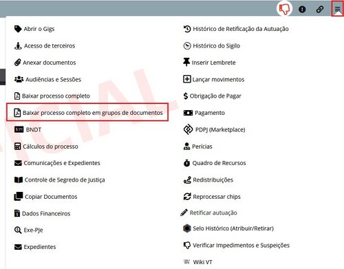 Baixar processos completos.jpg