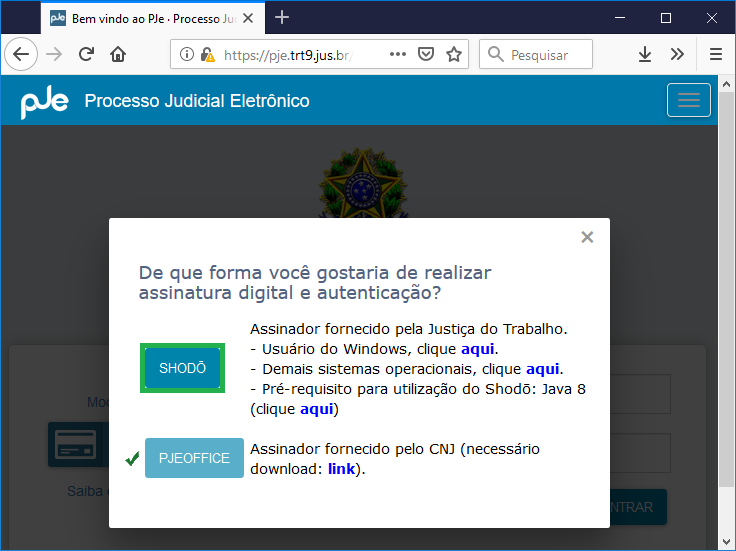 CSTI_SistemaPJe_AssinadorShodo_Img02
