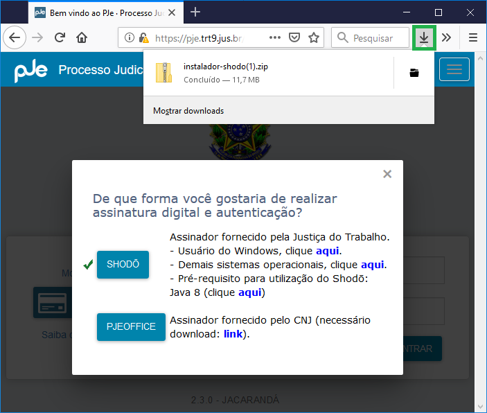 CSTI_SistemaPJe_AssinadorShodo_Img03