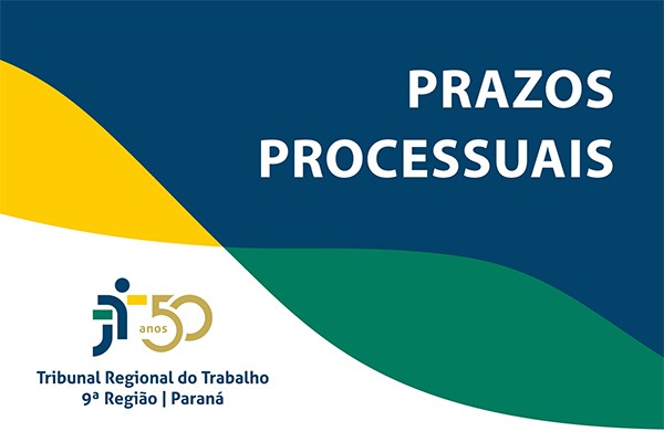 Notícia 2 
